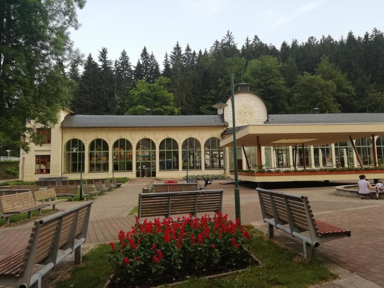 Apartman Jestrab 5 Johannisbad Exterior foto